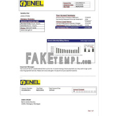 Nicaragua Nicaraguan Electricity Company ENEL fake electricity utility bill Word and PDF template