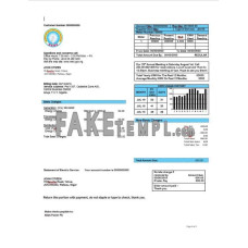 Nigeria Nigerian Electricity Regulatory Commission fake electricity utility bill Word and PDF template