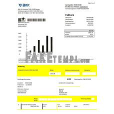 Norway BKK fake electricity utility bill Word and PDF template