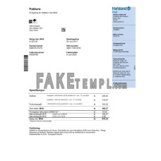 Norway Hafslund fake utility bill Word and PDF template