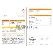 Origin fake utility bill Word and PDF template, 4 pages