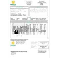 Panama Nexsun Power Corporation fake electricity utility bill Word and PDF template