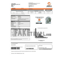 Philippines Meralco fake electricity utility bill Word and PDF template version 2