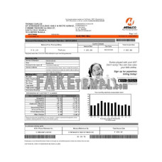 Philippines Meralco fake electricity utility bill Word and PDF template