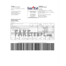 Romania Gaz Est fake utility bill Word and PDF template