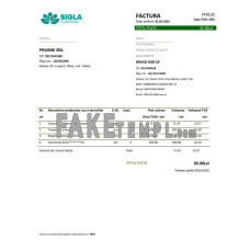 Romania SIGLA COMPANIEI fake utility bill Word and PDF template