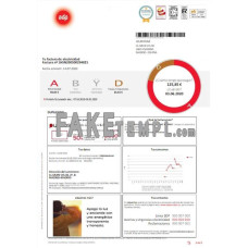 Spain EDP fake utility bill Word and PDF template