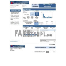 Saudi Arabia Saudi Petro Gas fake utility bill Word and PDF template