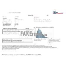 Serbia fake electricity utility bill Word and PDF template