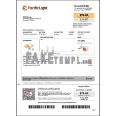 Singapore Pacific Light fake electricity utility bill Word and PDF template