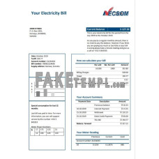 Somalia NESCOM Company fake electricity utility bill Word and PDF template