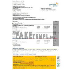 Spain gasNatural fenosa fake utility bill Word and PDF template