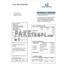 Tunisia fake electricity utility bill Word and PDF template