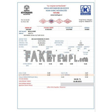 Turkey fake water utility bill Word and PDF template