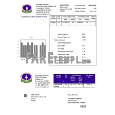 Turkmenistan Turkmengaz fake utility bill Word and PDF template