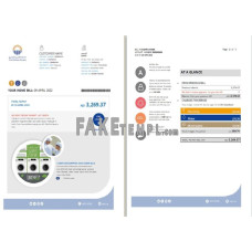 UAE Abu Dhabi Al Ain Distribution Co. fake utility bill Word and PDF template (5 pages)