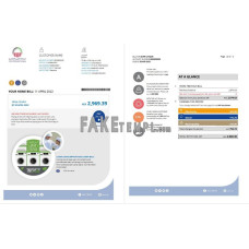 UAE Ajman Al Ain Distribution Co. fake utility bill Word and PDF template (5 pages)