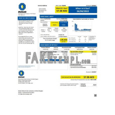 UAE Dubai Natural Gas Company Limited (Dugas) fake utility bill Word and PDF template