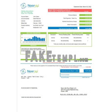 UAE Noor Life Pure Water LLC fake utility bill Word and PDF template