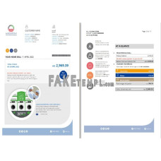 UAE Ras Al Khaimah Al Ain Distribution Co. fake utility bill Word and PDF template (5 pages)