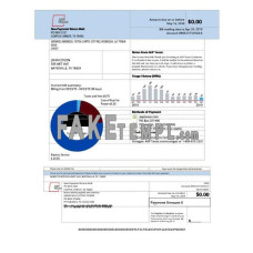 USA AEP Texas fake electricity utility bill Word and PDF template