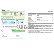 USA Ameren Missouri fake electricity utility bill Word and PDF template (2 pages)