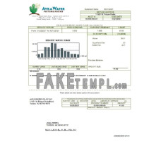 USA Arizona Avra fake water utility bill Word and PDF template