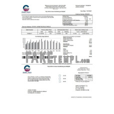 USA Arizona Chandler Utilities fake utility bill Word and PDF template