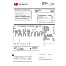 USA Arizona City of Phoenix fake utility bill Word and PDF template