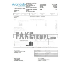 USA Arizona The City of Avondale fake water utility bill Word and PDF template