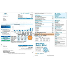 USA Arizona Tucson Electric Power (TEP) fake utility bill Word and PDF template, 2 pages