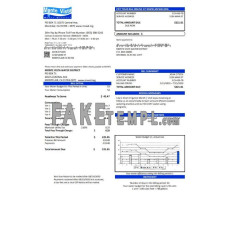 USA California Monte Vista Water District fake utility bill Word and PDF template