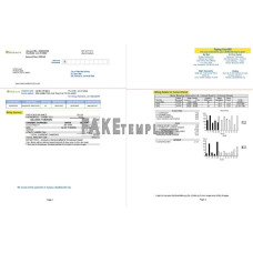 USA California Palo Alto fake utility bill Word and PDF template, 2 pages