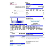 USA City of Sherman fake utility bill Word and PDF template