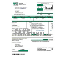 USA Coles - Moultrie fake utility bill Word and PDF template