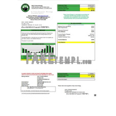 USA Colorado Holy Cross Energy fake utility bill Word and PDF template