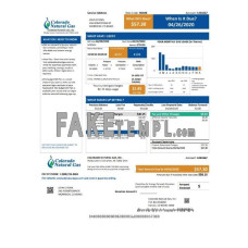 USA Colorado Natural gas fake utility bill Word and PDF template