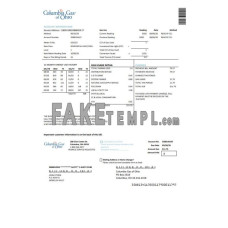 USA Columbia Gas of Ohio fake utility bill Word and PDF template