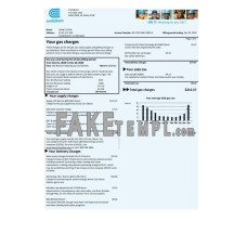 USA Con Edison gas fake utility bill Word and PDF template