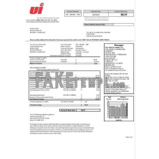 USA Connecticut The United Illuminating Company fake electricity utility bill Word and PDF template