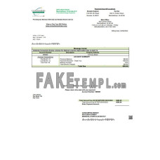 USA Consumers Energy fake utility bill Word and PDF template