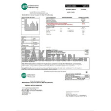 USA Craighead Electric fake utility bill Word and PDF template