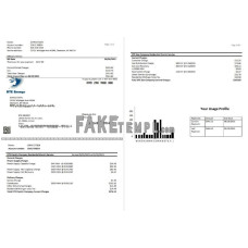 USA DTE Energy fake utility bill Word and PDF template (2 pages)