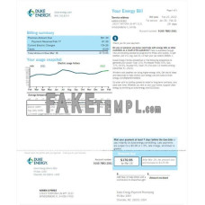 USA Duke Energy fake utility bill Word and PDF template, version 2