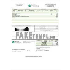 USA Deep East Texas Electric fake utility bill Word and PDF template