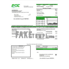 USA Delaware Electric Co-op fake utility bill Word and PDF template