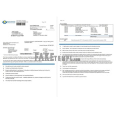 USA Empire District Electric Company fake utility bill Word and PDF template (2 pages)