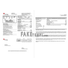 USA Entergy fake electricity utility bill Word and PDF template (2 pages)