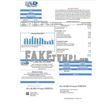 USA Fallbrook Public fake utility bill Word and PDF template