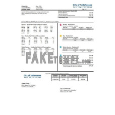 USA Florida City of Tallahassee Florida Your Own fake utility bill Word and PDF template